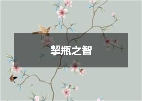 挈瓶之智