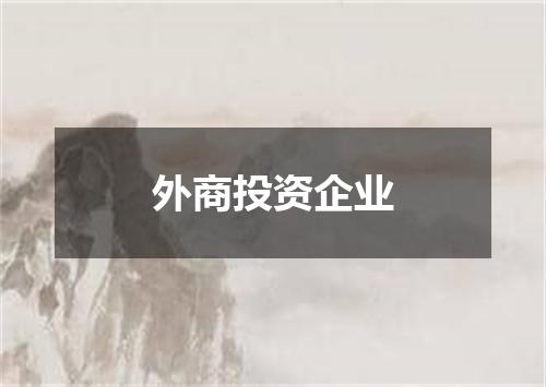 外商投资企业