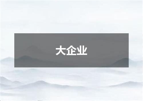 大企业