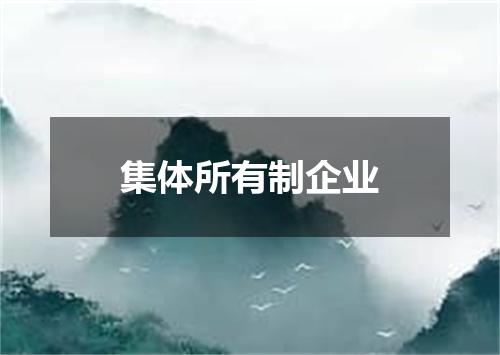 集体所有制企业