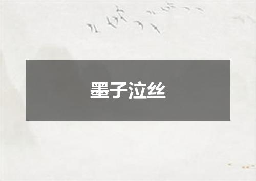 墨子泣丝