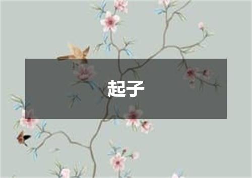 起子