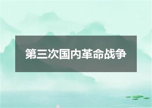 第三次国内革命战争