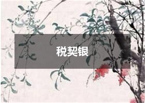 税契银