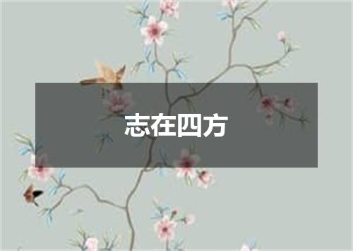 志在四方