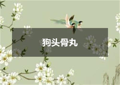 狗头骨丸