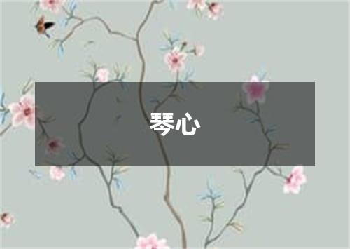 琴心