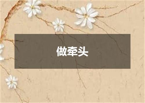 做牵头
