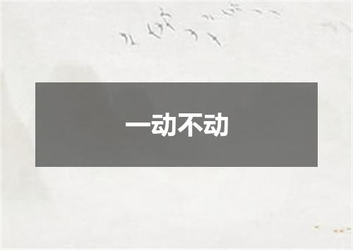 一动不动
