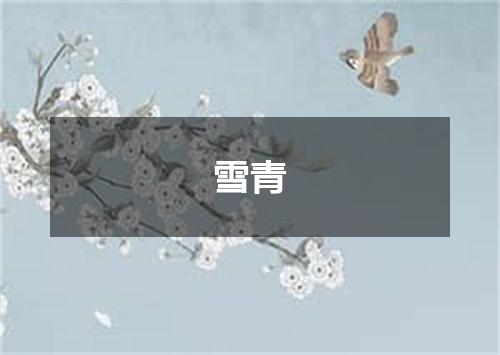 雪青