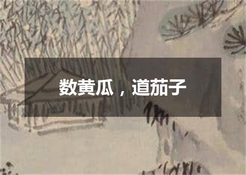 数黄瓜，道茄子