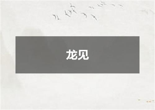 龙见