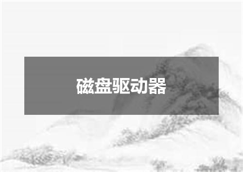 磁盘驱动器