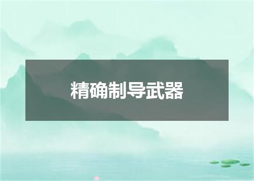精确制导武器