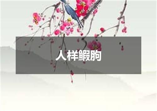 人样鰕胊