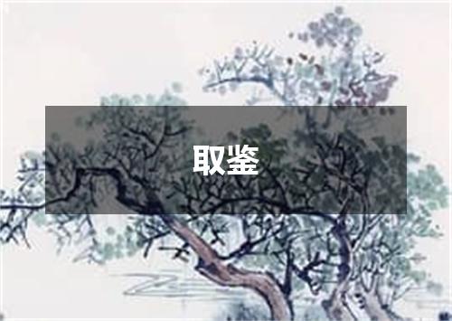 取鉴