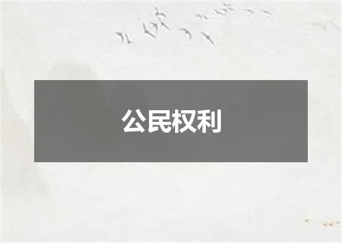 公民权利