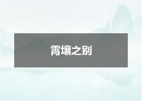 霄壤之别