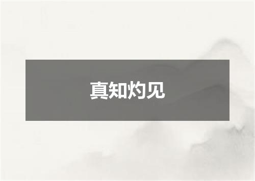 真知灼见