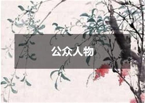 公众人物