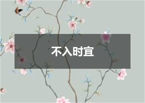 不入时宜