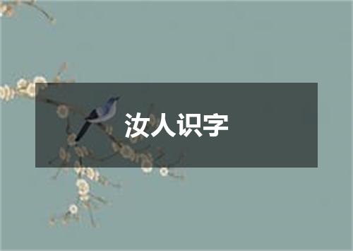 汝人识字
