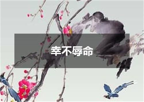 幸不辱命