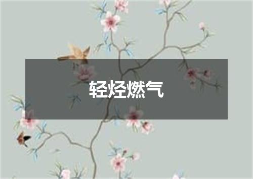 轻烃燃气
