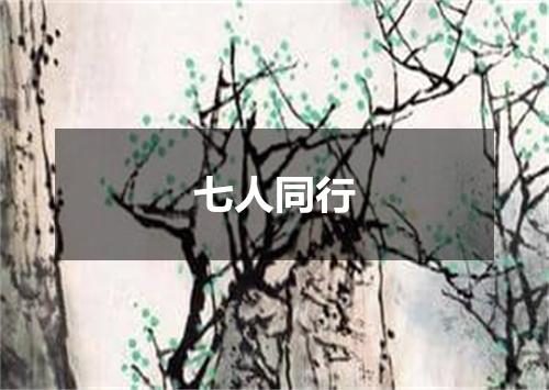 七人同行
