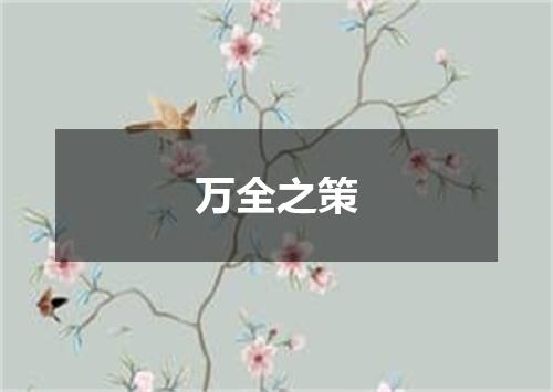 万全之策