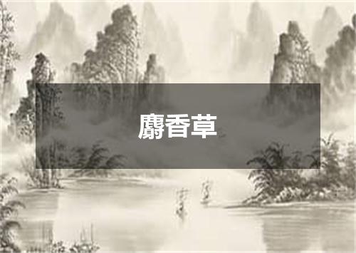 麝香草