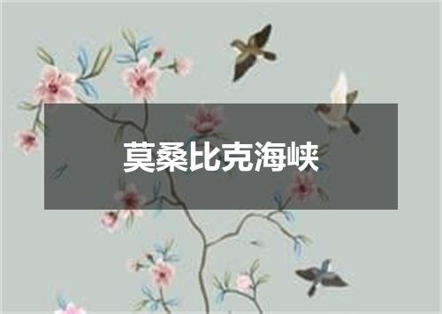 莫桑比克海峡