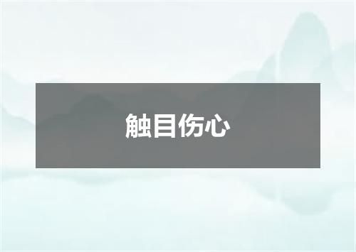触目伤心