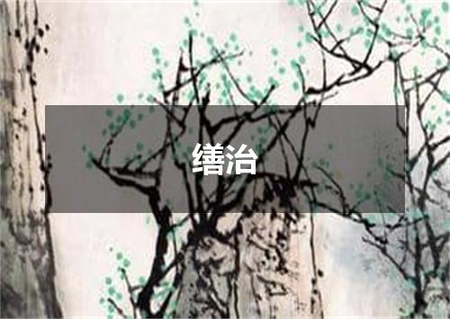 缮治