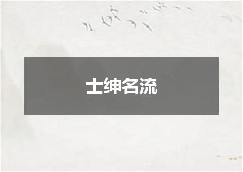 士绅名流
