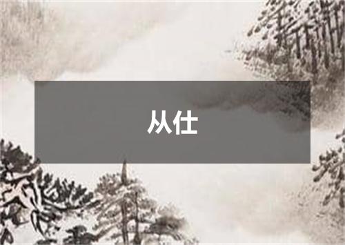 从仕