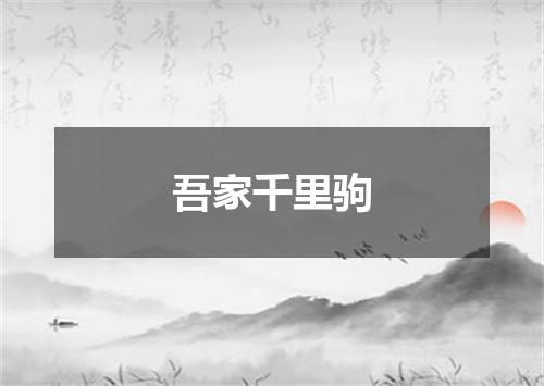 吾家千里驹