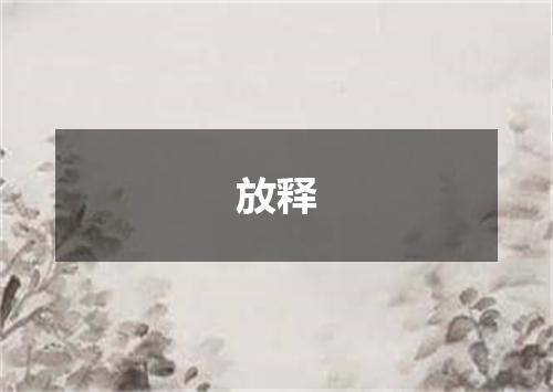 放释