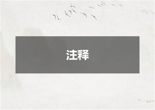 注释