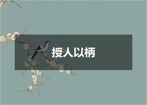 授人以柄