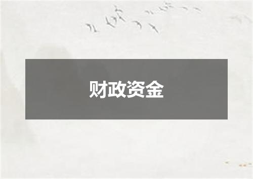 财政资金