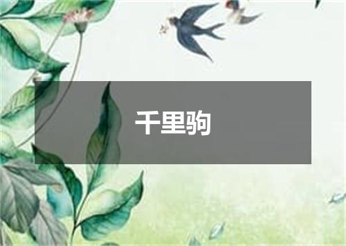 千里驹
