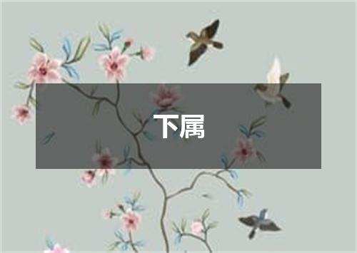 下属