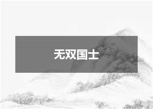无双国士