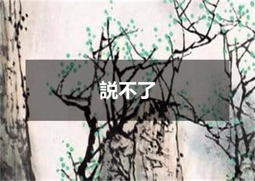説不了
