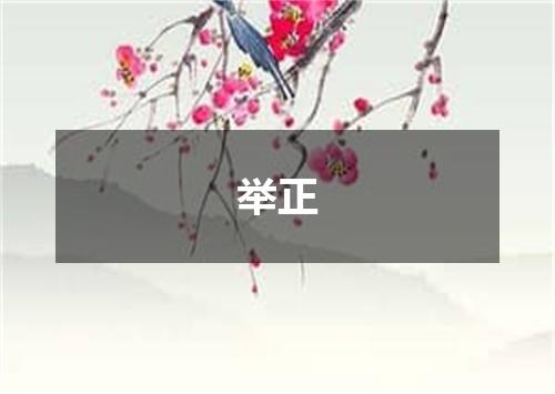 举正
