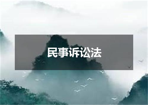 民事诉讼法