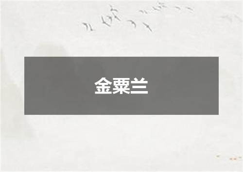 金粟兰