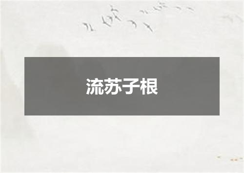 流苏子根