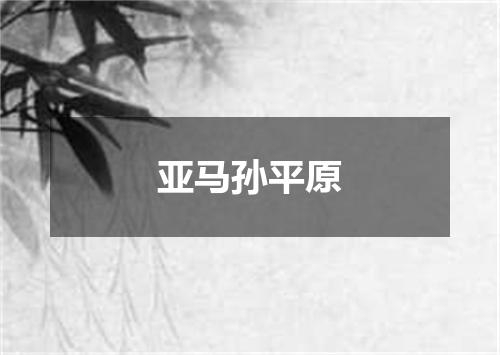 亚马孙平原